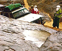 Regenpf&uuml;tze