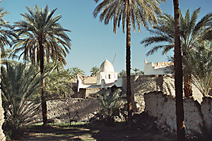 Palmengarten