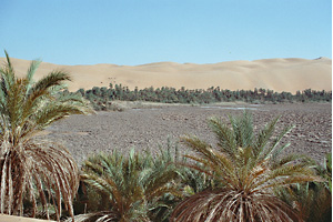 Mandara See