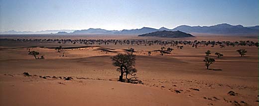 Namibwüste 23k