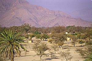 Sesfontein